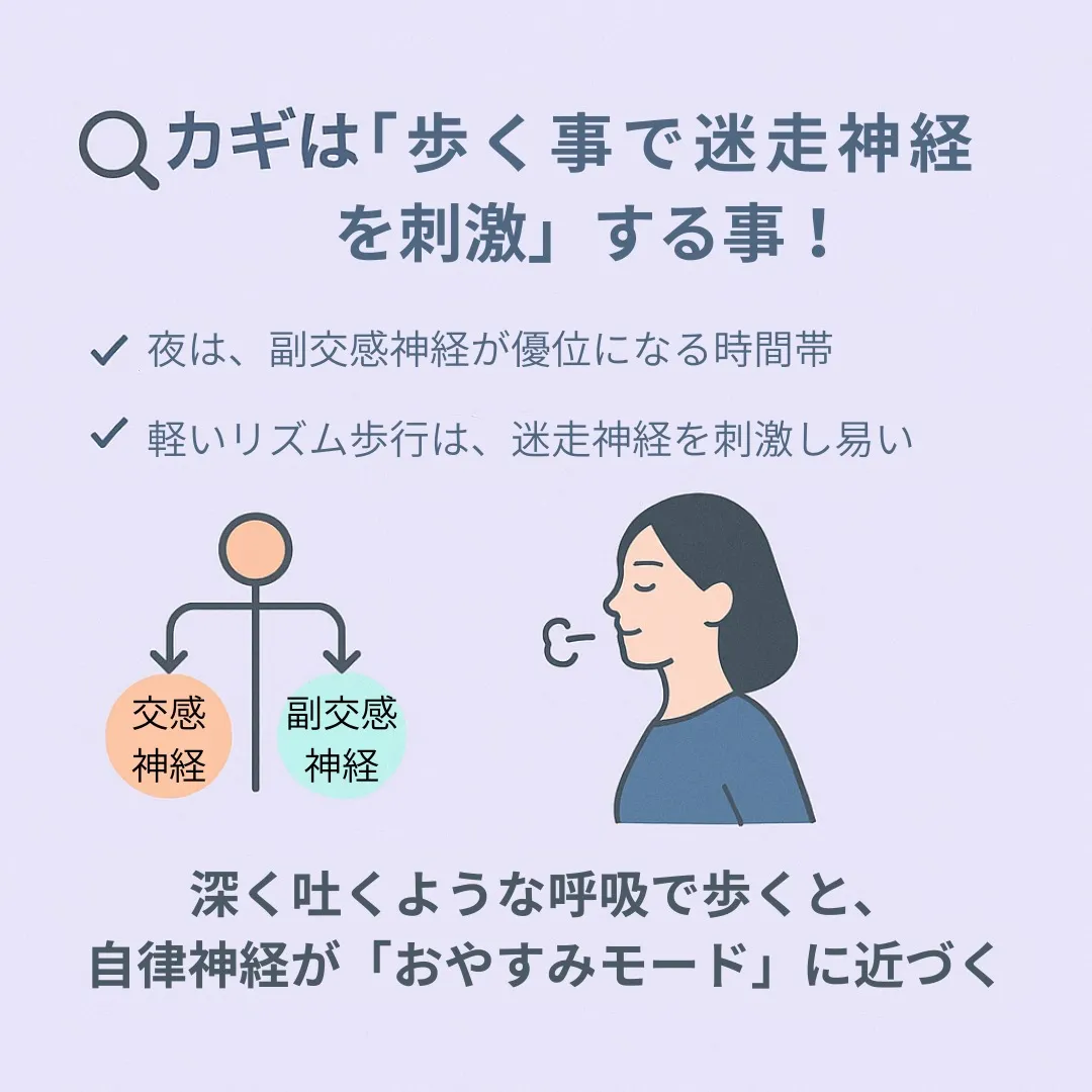 「夜の歩き方フォーム」が与える副交感神経への意外な影響