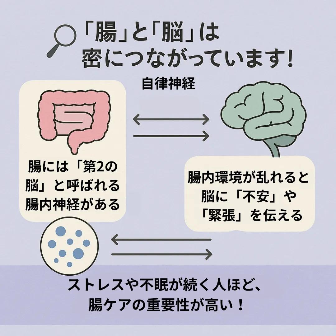 「腸を整えると心も整う」って本当?