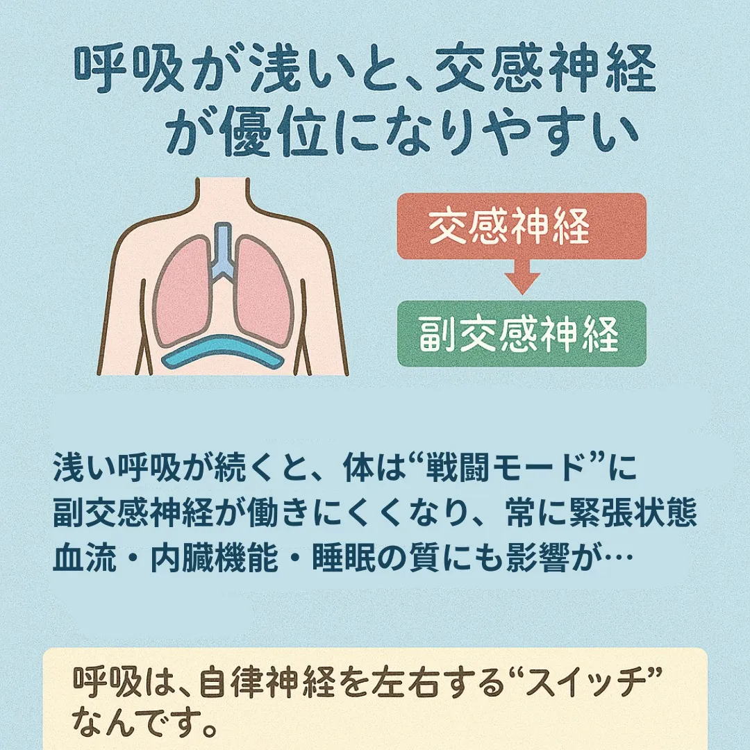 【📌これ、絶対あとで見返したくなる!】