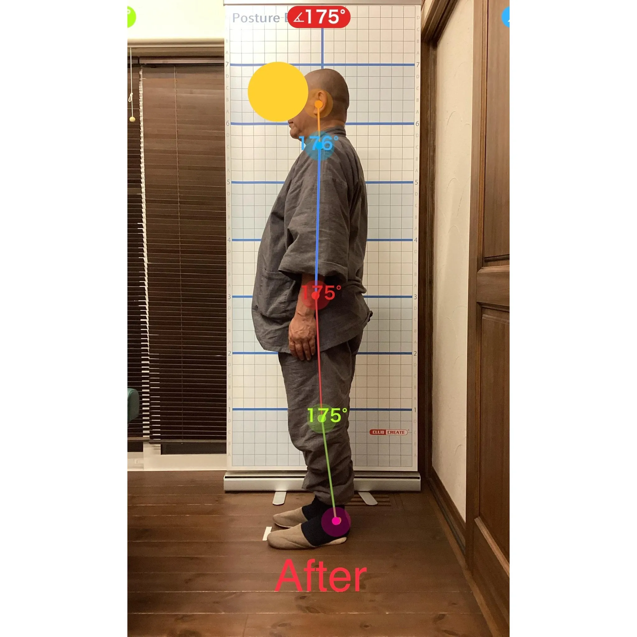 【富里 整体】腰痛、膝痛、肩こり 他/60代男性/僧侶